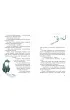 Kot Philo i z�ota Bastet