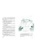 Kot Philo i z�ota Bastet