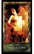 The Archeon Tarot, karty do wr�enia