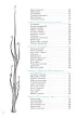 121 Deltoid�w