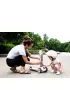 Highwaykick 1 2w1 Je�dzik i hulajnoga tr�jko�owa 1-5 lat Rose Scootandride