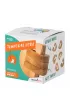 Temporal Lobe - �amig��wka Recent Toys poziom 4/5 G3