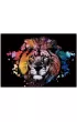 Twoje Hobby Lion. Magiczna zdrapka - wydrapywanka 40.0 x 28.5 cm