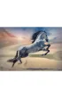 Puzzle 1000 el. Majestatyczny ko� Trefl