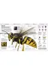 Knowledge Encyclopedia. The World as You`ve Never Seen it Before wer. angielska
