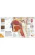 Knowledge Encyclopedia. The World as You`ve Never Seen it Before wer. angielska