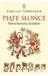 Pi�te S�o�ce. Nowa historia Aztek�w