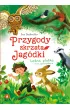 Przygody skrzata Jag�dki Le�na plotka i inne opowiadania