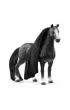 Pi�kna klacz rasy Quarter Horse Sofia's Beauties