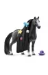 Pi�kna klacz rasy Quarter Horse Sofia's Beauties