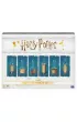 Harry Potter Magiczne mikstury