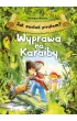 Pakiet Pirata: Jak zosta� piratem? Wyprawa na Karaiby, Wydrapywanka Pirate, Puzzle piankowe 24 el. Zabawne obrazki. Piraci