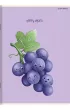 Top-2000 Zeszyt A5 Fruits dwie linie, 70g 16 kartek