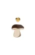 Pin borowik
