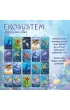 Ekosystem 2. Rafa koralowa