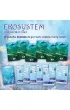 Ekosystem 2. Rafa koralowa