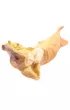�pi�cy le�ny stworek - owini�ty listkiem