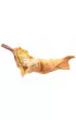 �pi�cy le�ny stworek - owini�ty listkiem