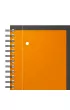 Ko�obrulion Oxford International Notebook A4+ kratka 80