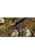 Gamers Grass: Swamp Shrubs