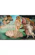 Puzzle 1000 el. Art Collection. Narodziny Wenus, Sandro Botticelli Trefl