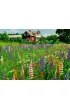 Puzzle 500 el. ��ka w Szwecji Ravensburger