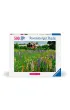Puzzle 500 el. ��ka w Szwecji Ravensburger