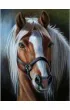 Norimpex Diamentowa mozaika - Ko� z jasn� grzyw� 40x30cm
