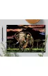 Twoje Hobby Elephant. Magiczna zdrapka - wydrapywanka 40.0 x 28.5 cm