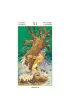 Fairy Tarot, karty do wr�enia