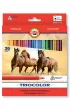 Koh-I-Noor Kredki Triocolor 3145 36 szt.