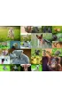 Puzzle dla dzieci 200 el. Zwierz�tka Ravensburger