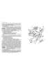 Przygody Piotrusia Pana. Piotru� Pan w Ogrodach Kensingto�skich
