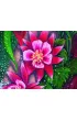 Wild Bohemian Affirmation. �ywio� Ognia