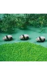 Petit Boum Butelka obserwacyjna - Panda