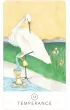 Black Seed Tarot