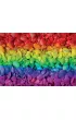 Puzzle 500 el. Kolorowe kamienie Educa