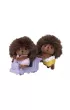 Sylvanian Bli�niaki je�yki