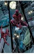 Marvel Classic Oto nadchodzi... Daredevil. Tom 2