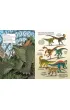 Dinozaury - skamieliny i pi�ra. Naukomiks