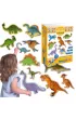 Maksik Du�e dinozaury - zestaw magnes�w