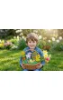 Zestaw kreatywny Piaskowe Malowanki. Ozdoby Wielkanocne - Kurczaczek Alexander