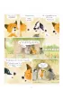 M�j pierwszy komiks 5+ Talizman. Pan Borsuk i pani Lisica. Tom 7