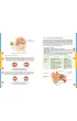 Nowe Repetytorium. Biologia. Szko�a podstawowa