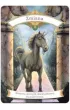 Magiczne jednoro�ce + karty