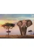 Puzzle 500 el. High Quality Collection. Afryka�ski zach�d s�o�ca Clementoni