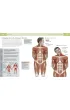 Anatomia stretchingu. 50 podstawowych �wicze� wzmacniaj�cych i zwi�kszaj�cych elastyczno��