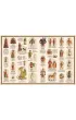 Rok na zamku