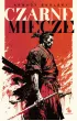 Czarne miecze. Droga Samotnego Psa. Tom 1 – Arkady Saulski – okładka ebook