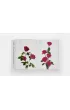Flower Colour Guide